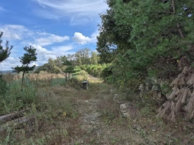 B000262202501300209152.jpg