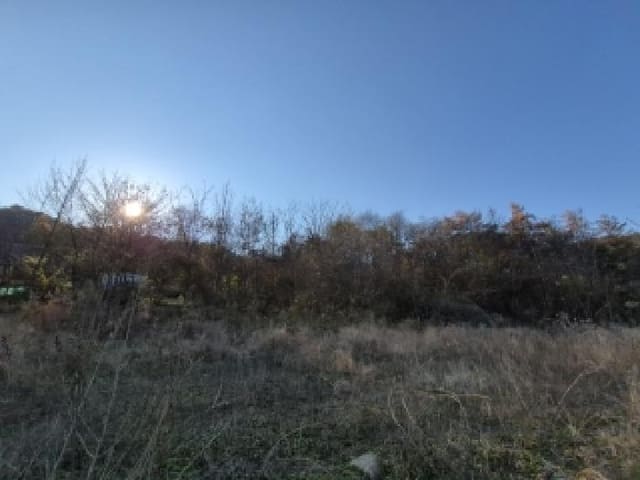 B000262202501300209321.jpg