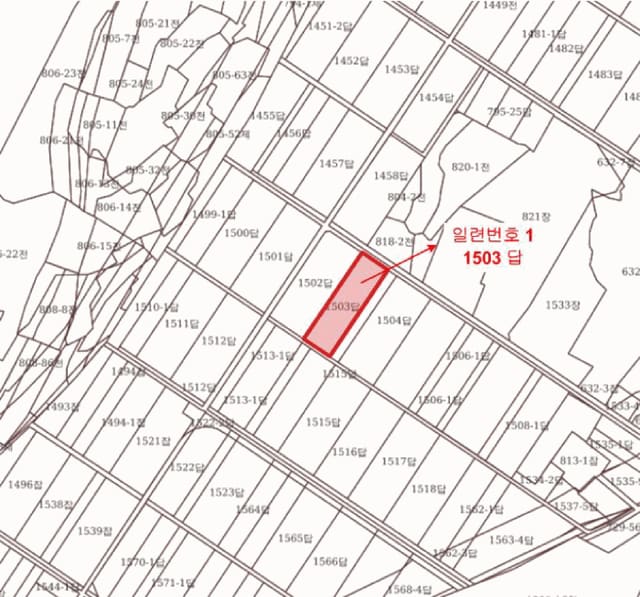 B000262202501300209544.jpg