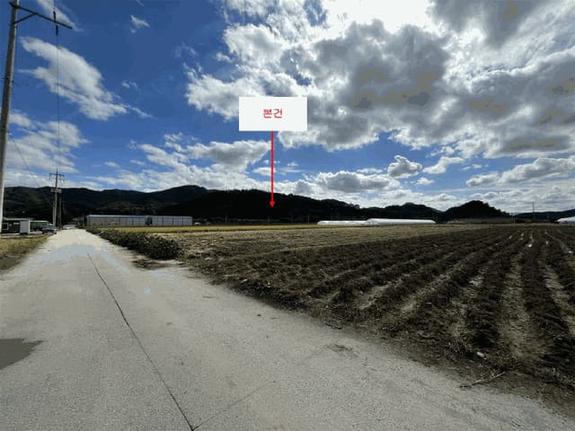 B000262202501300209542.jpg