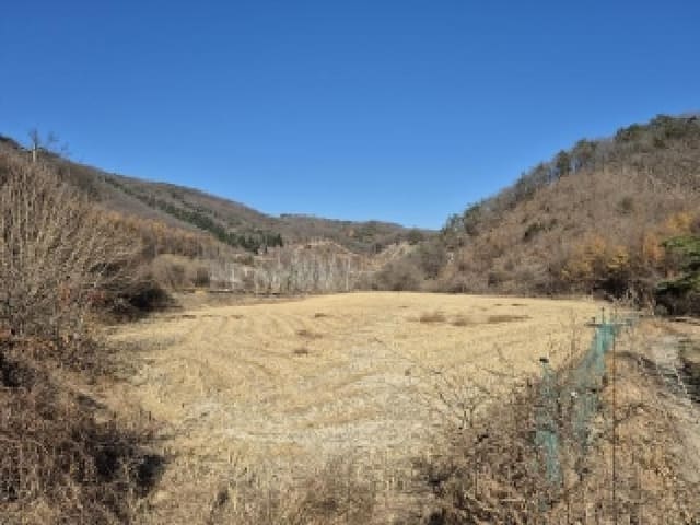 B000262202501300210021.jpg