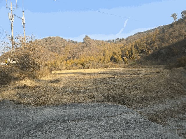 B000262202501300210024.jpg