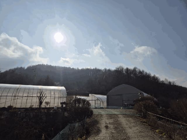 B000262202501300210303.jpg