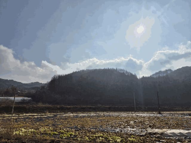 B000262202501300210302.jpg
