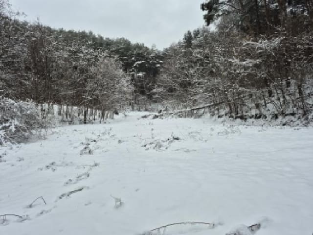 B000262202501300210441.jpg