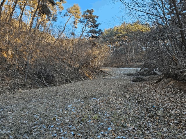 B000262202501300210444.jpg
