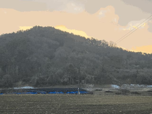 B000262202501300211004.jpg
