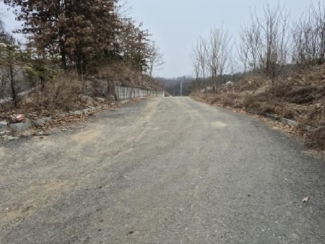 B000262202501300211414.jpg