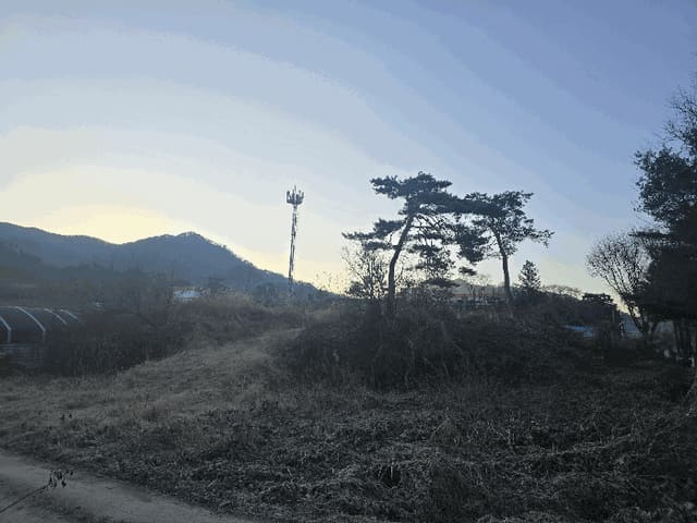 B000262202501300211464.jpg