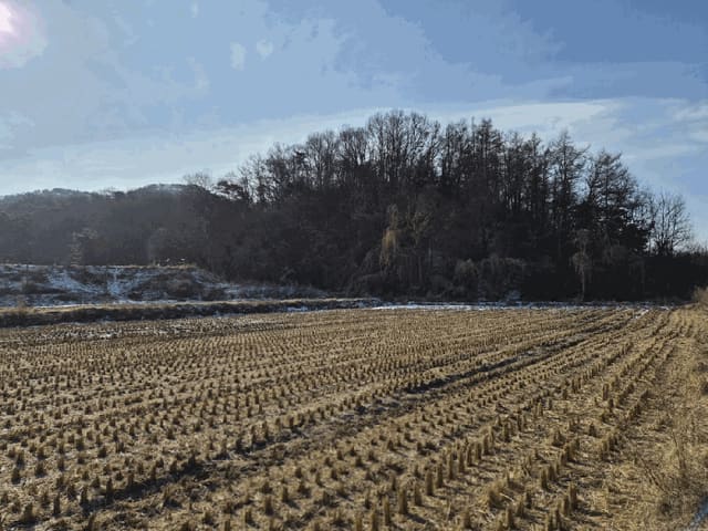 B000262202601300000106.jpg