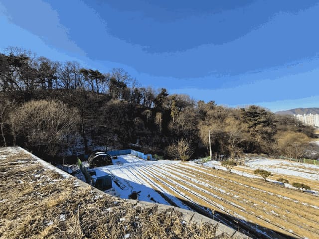 B000262202601300000105.jpg