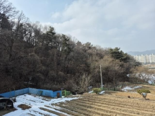 B000262202601300000101.jpg