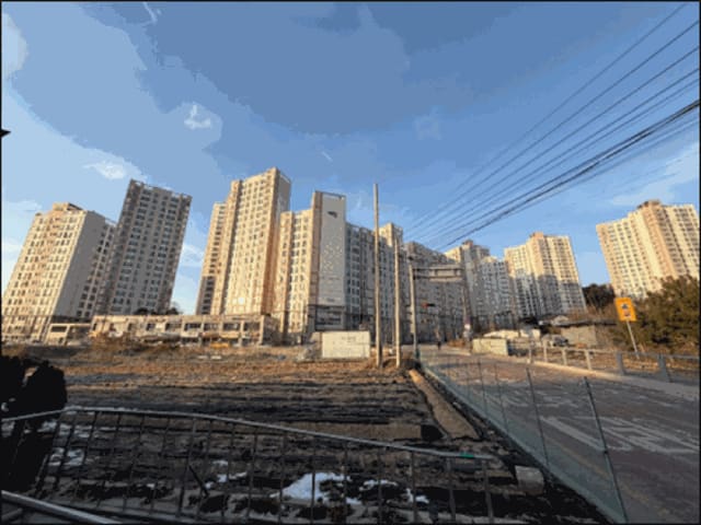 B000262202601300000143.jpg