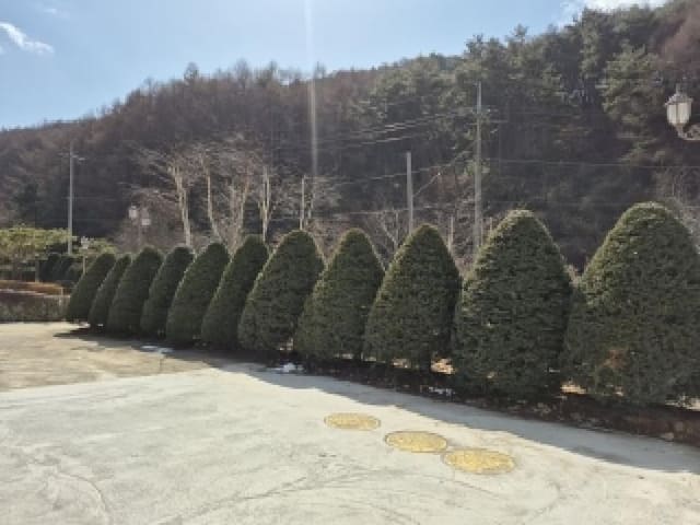 B000262202601300000243.jpg