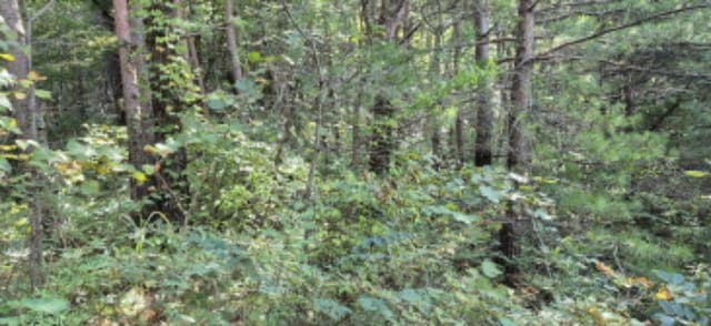 B000263202401300118062.jpg