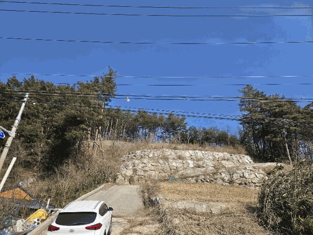 B000263202501300001934.jpg