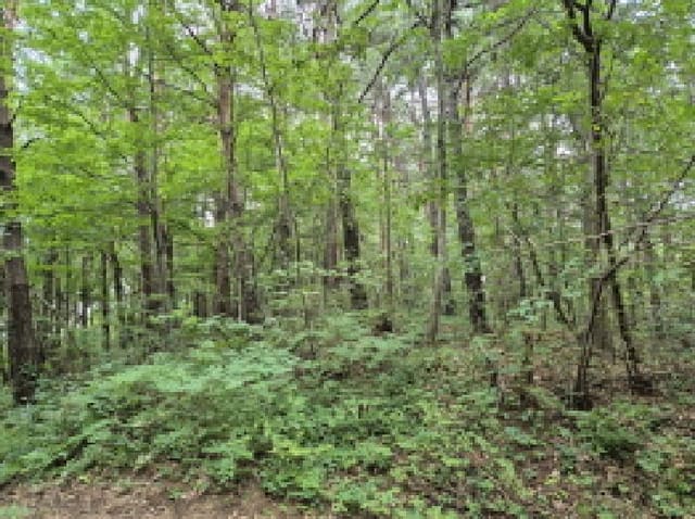 B000263202501300002771.jpg