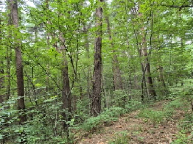 B000263202501300002773.jpg