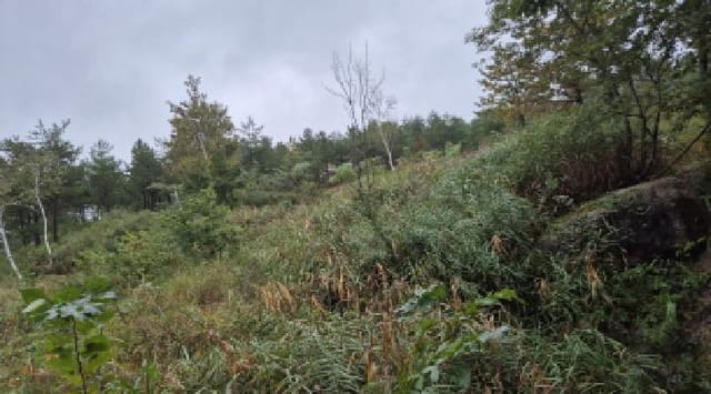 B000263202501300002903.jpg