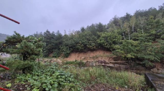 B000263202501300002902.jpg