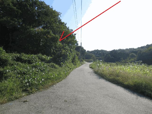 B000263202501300002914.jpg