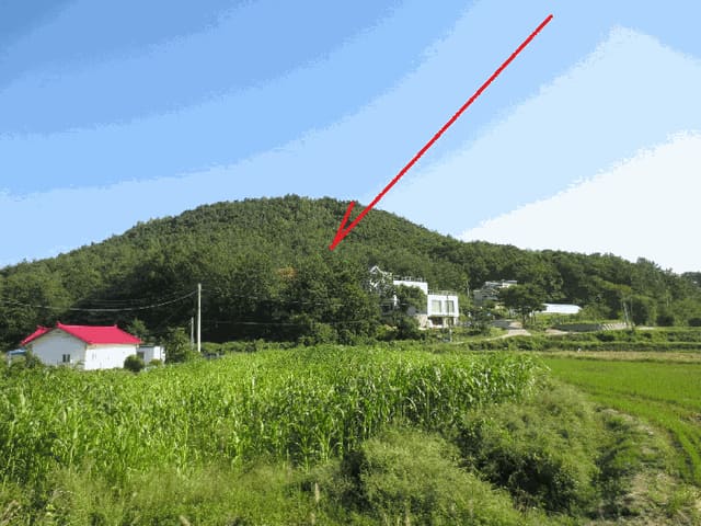 B000263202501300002913.jpg