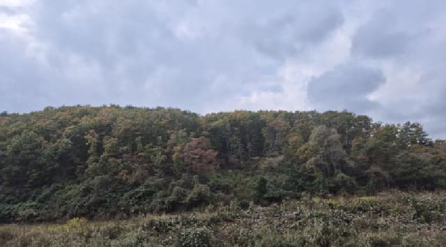 B000263202501300002961.jpg