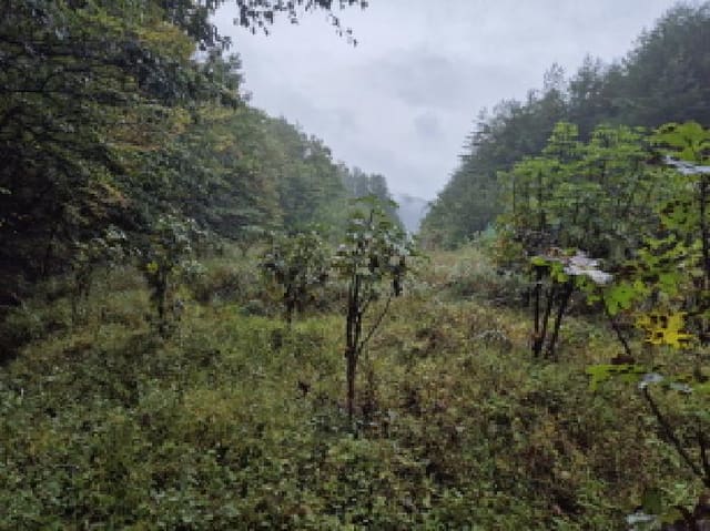 B000263202501300002972.jpg