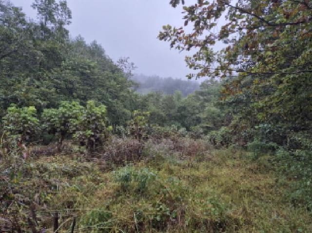 B000263202501300002973.jpg