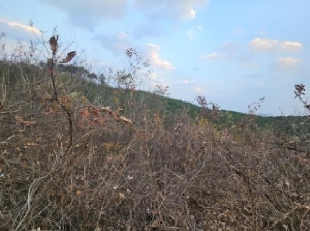 B000263202501300003123.jpg