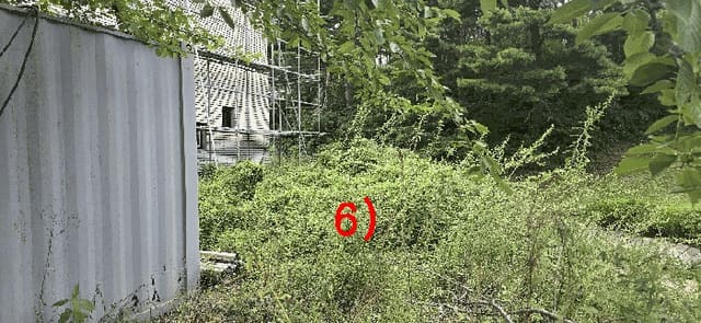 B000263202501300103524.jpg