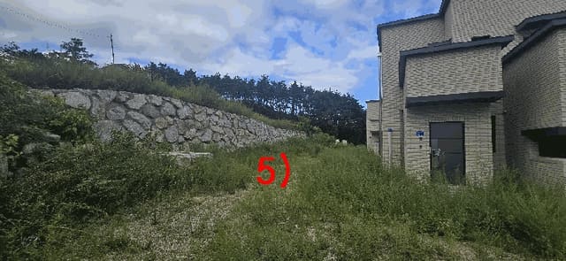 B000263202501300103523.jpg