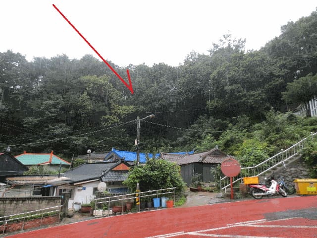 B000263202501300103554.jpg