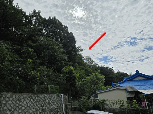 B000263202501300103594.jpg
