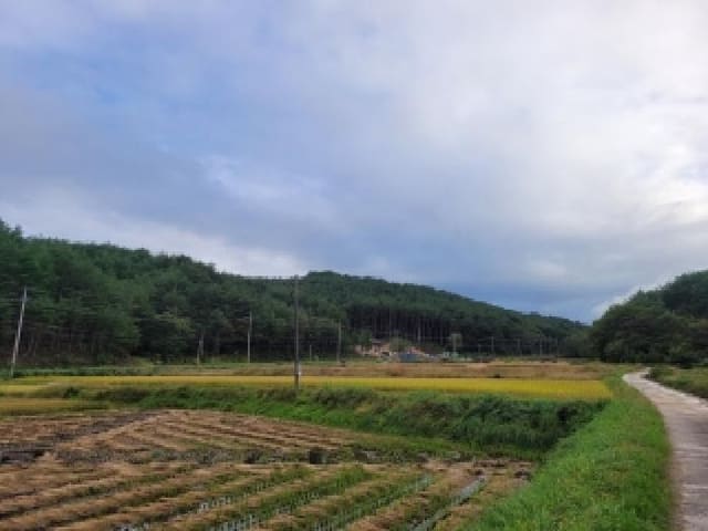 B000263202501300103762.jpg