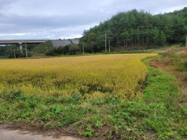 B000263202501300103764.jpg
