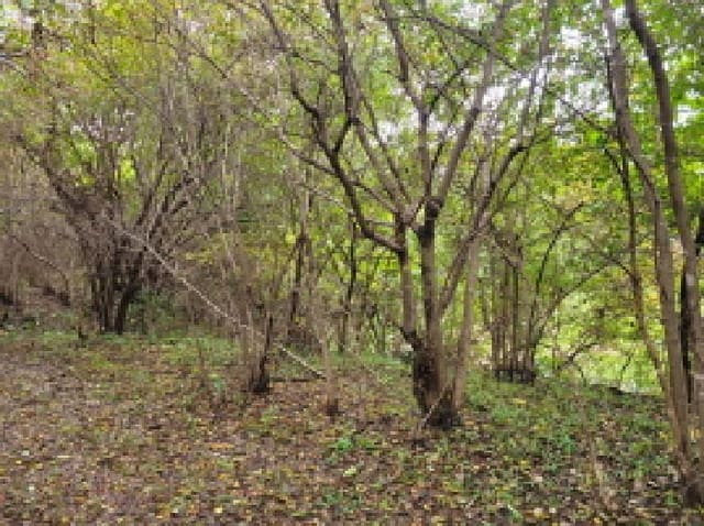 B000263202501300103761.jpg