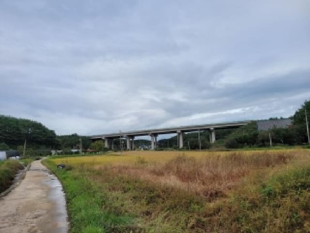 B000263202501300103763.jpg