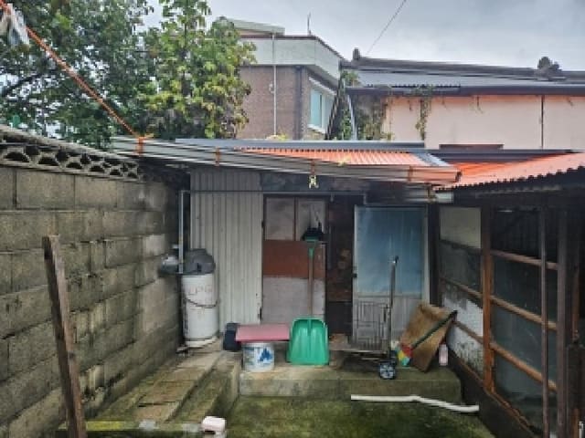 B000263202501300103784.jpg