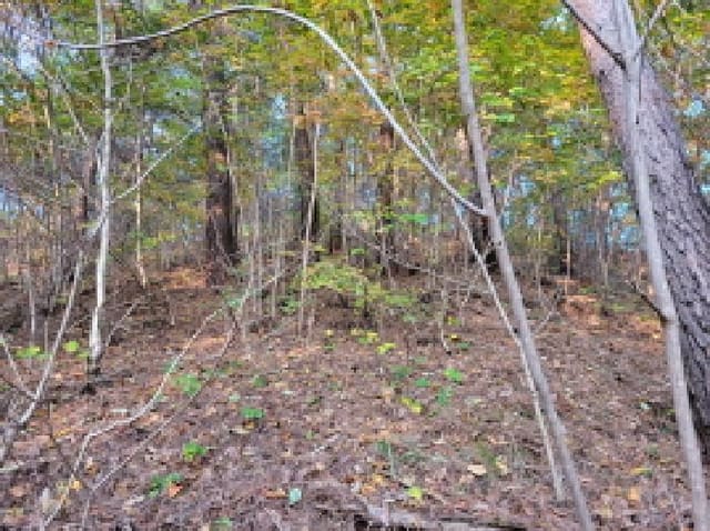 B000263202501300103803.jpg