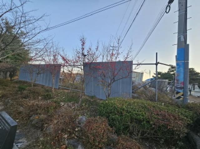 B000263202501300104104.jpg