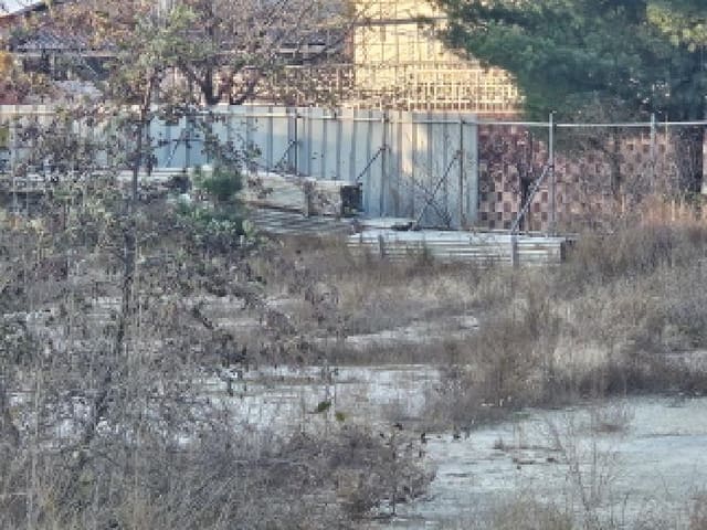 B000263202501300104103.jpg