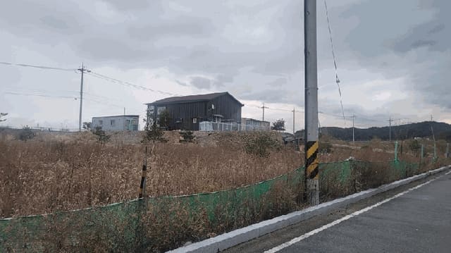 B000263202501300104142.jpg