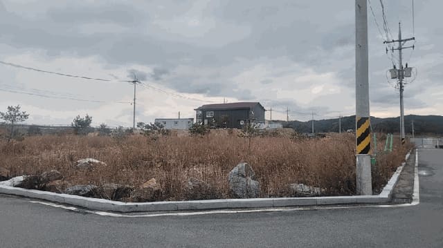 B000263202501300104141.jpg