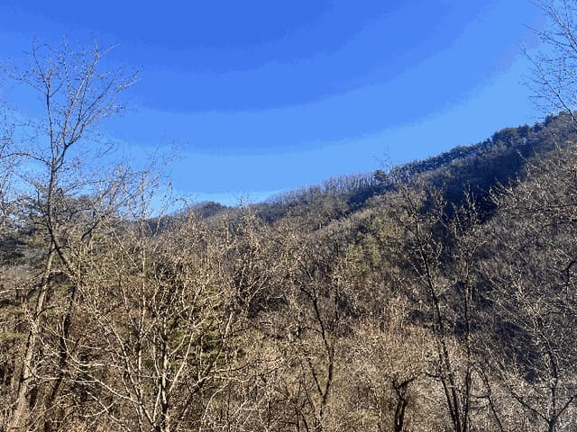 B000263202501300104174.jpg
