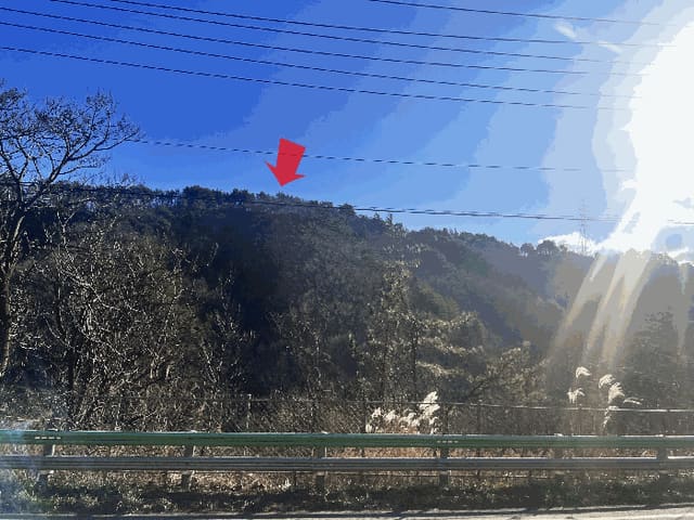 B000263202501300104173.jpg