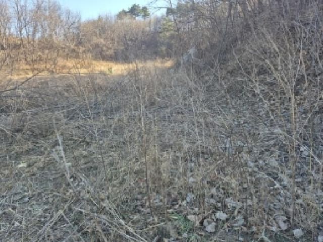 B000263202501300104231.jpg