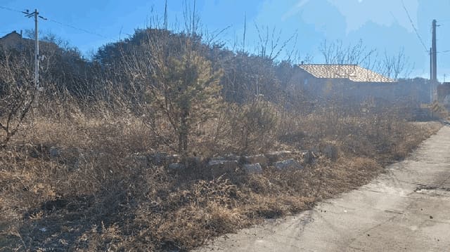 B000263202601300100061.jpg