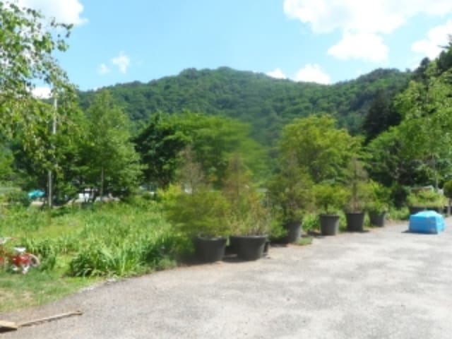 B000264202001303011082.jpg