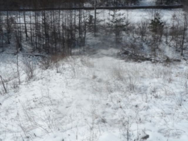 B000264202401300004583.jpg